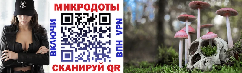 где найти   гидра зеркало  Галлюциногенные грибы прущие грибы  Нариманов 